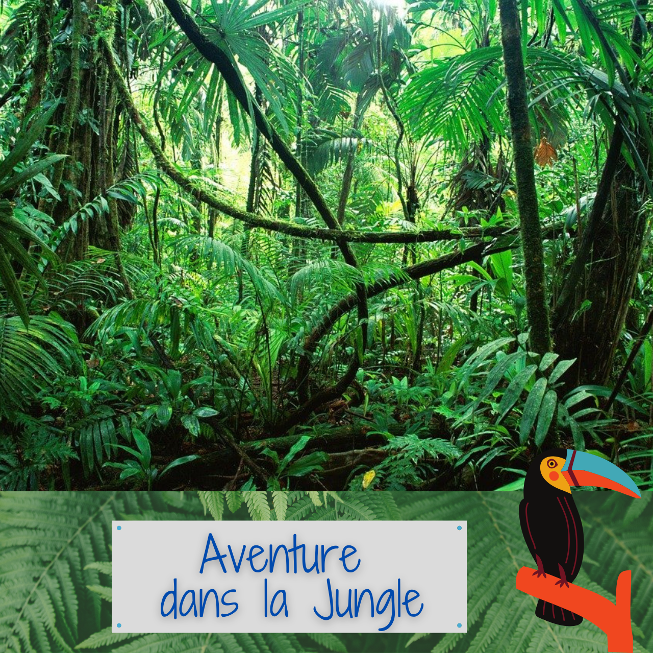 Aventure dans la Jungle